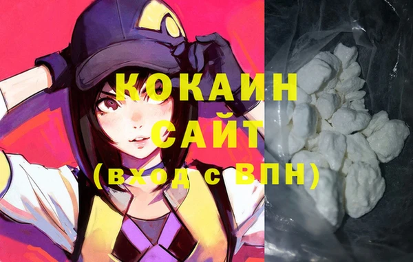 крисы Баксан